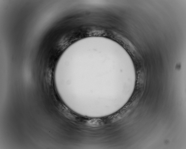 X0000102370761200808291248