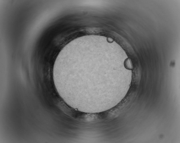 X0000102370762200808291248
