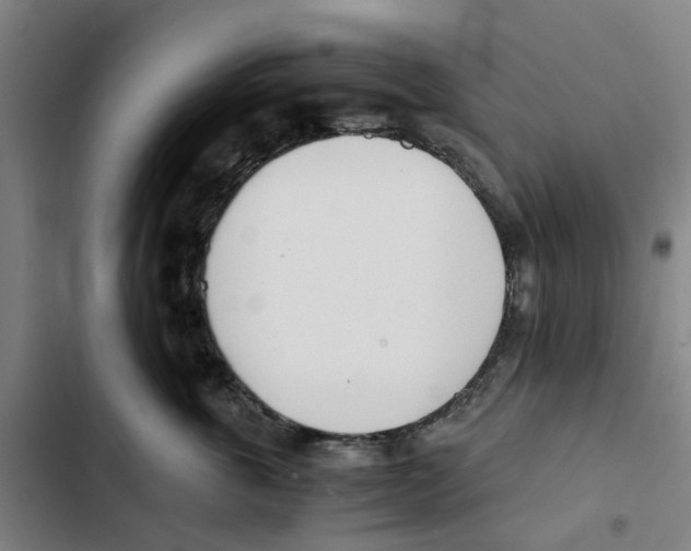 X0000102370763200808291248