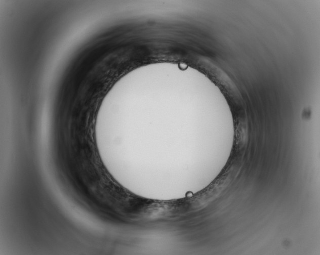 X0000102370764200808291248