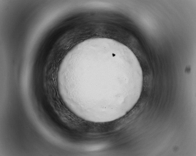 X0000102370765200808291248