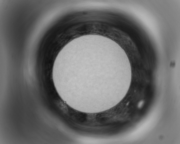 X0000102370766200808291248