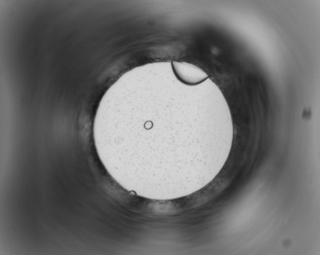 X0000102370767200808291248