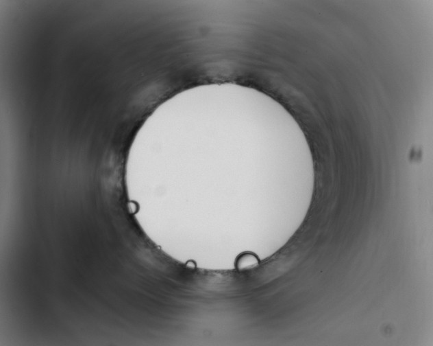 X0000102370768200808291248