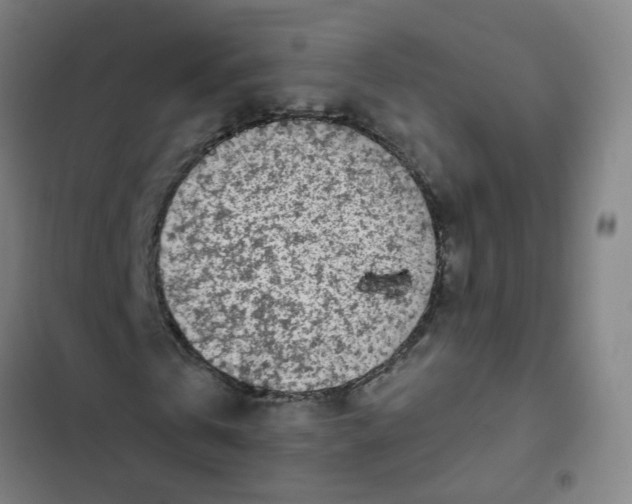 X0000102370769200808291248