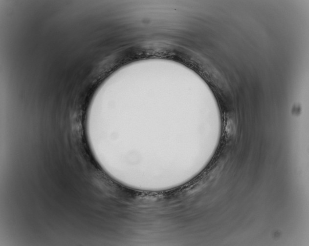 X0000102370771200808291248