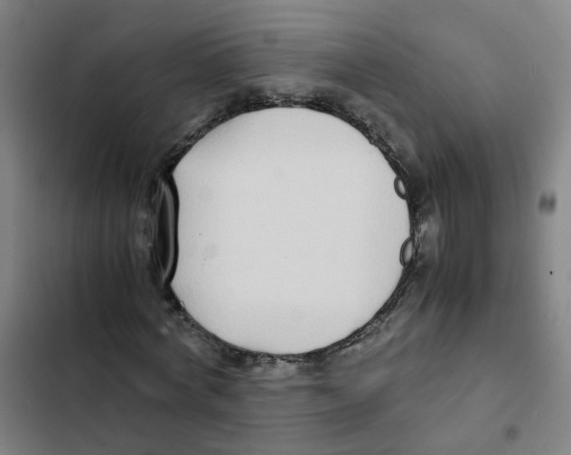 X0000102370772200808291248