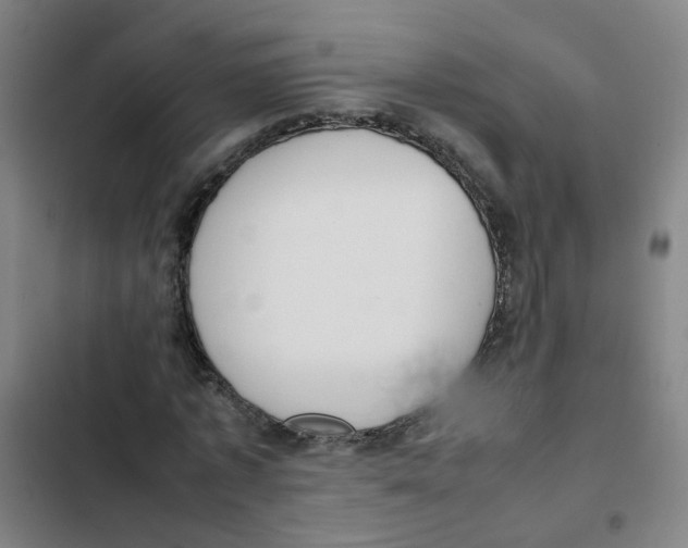 X0000102370773200808291248
