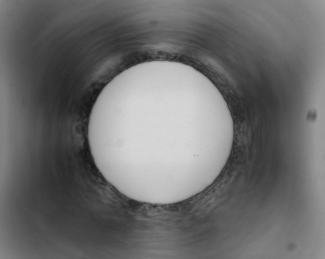 X0000102370774200808291248
