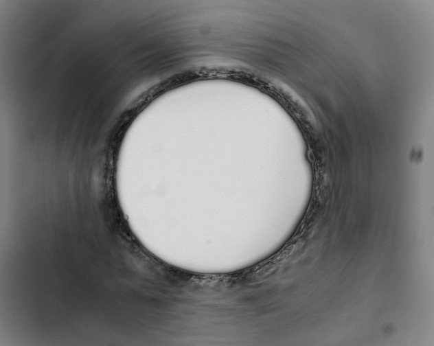 X0000102370775200808291248