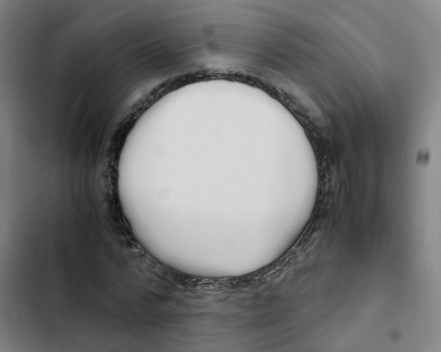 X0000102370776200808291248