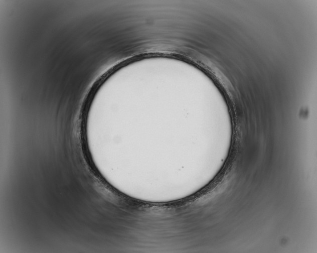 X0000102370779200808291248