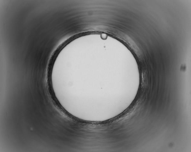 X0000102370780200808291248