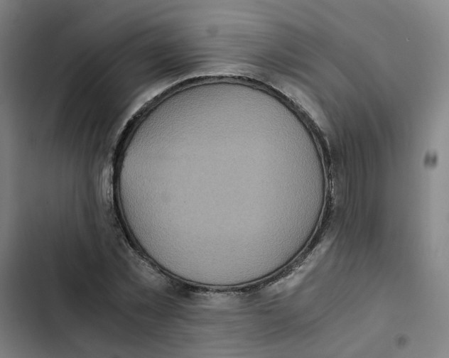 X0000102370781200808291248