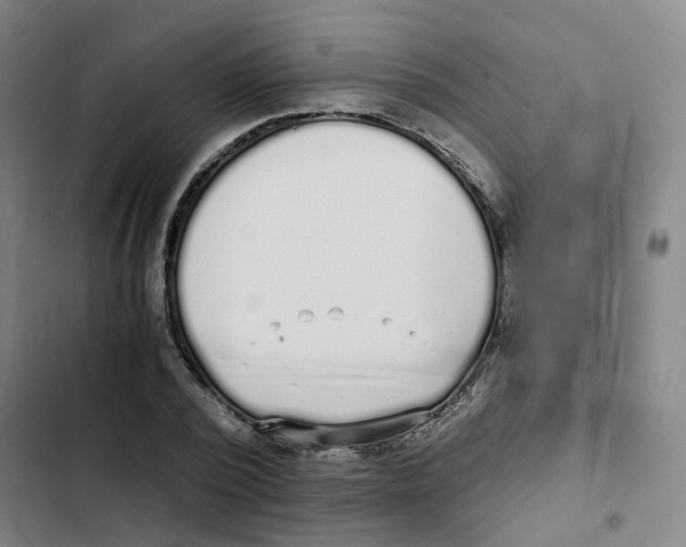 X0000102370784200808291248