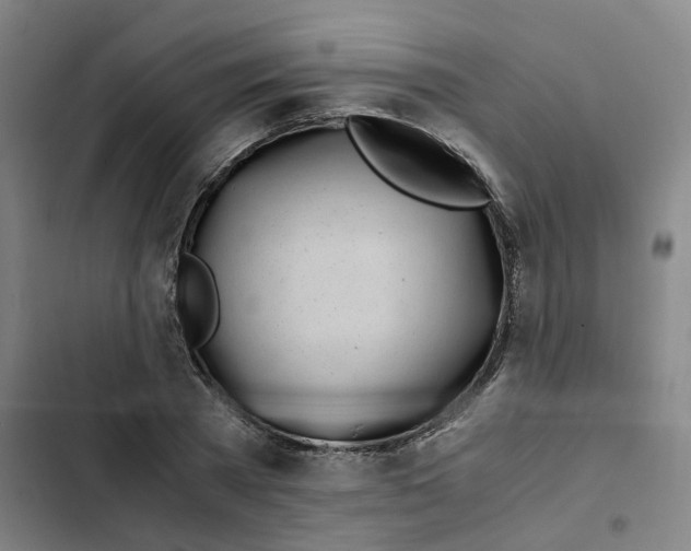 X0000102370785200808291248