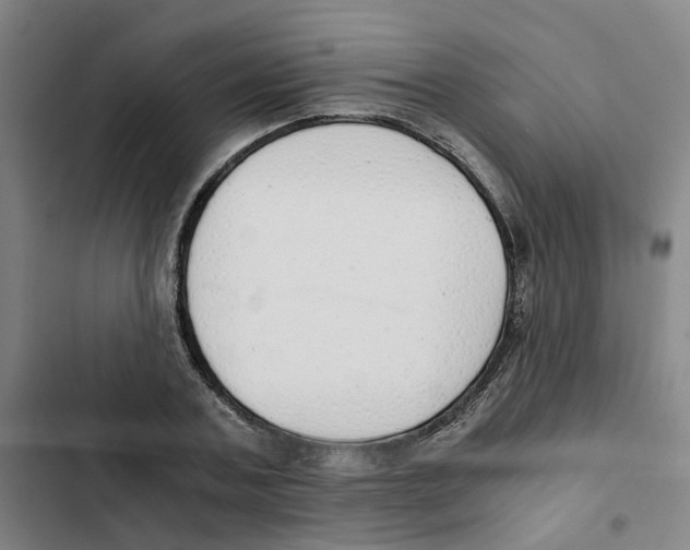 X0000102370787200808291248