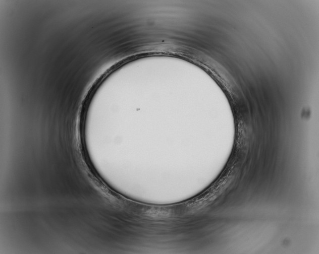 X0000102370788200808291247