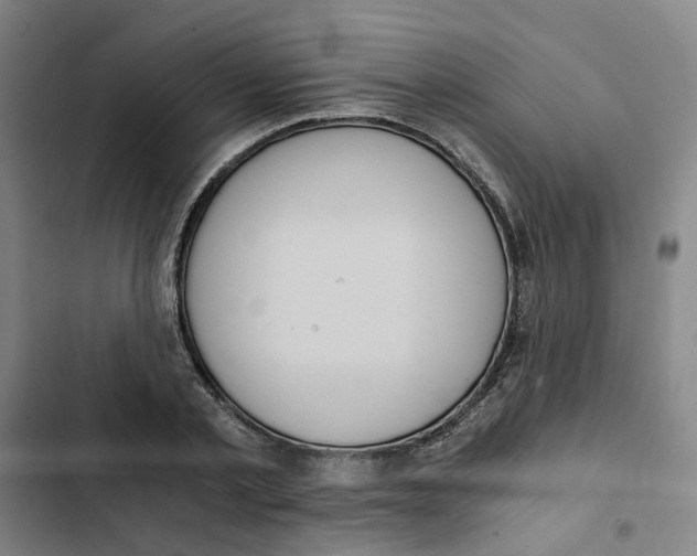 X0000102370789200808291247