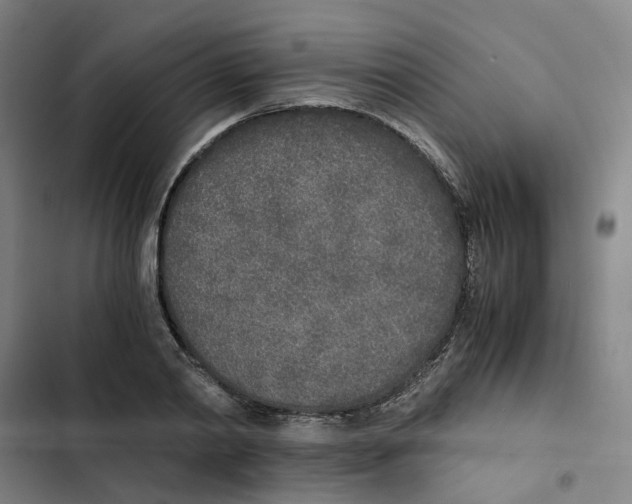 X0000102370790200808291247