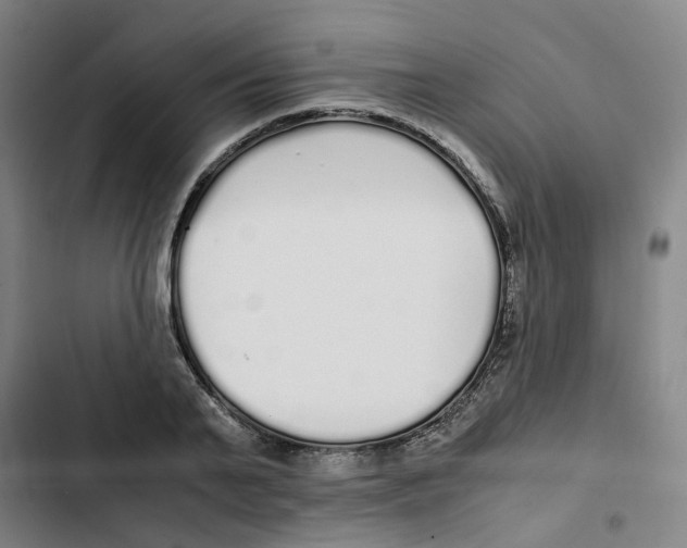 X0000102370791200808291247