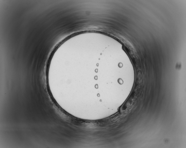 X0000102370792200808291247