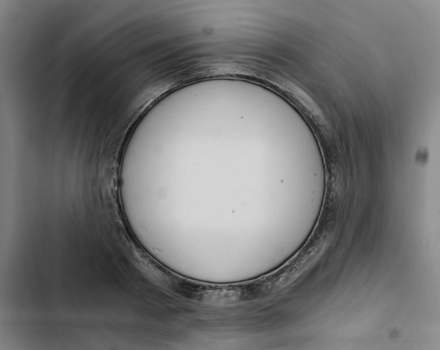 X0000102370793200808291247