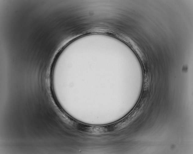 X0000102370795200808291247