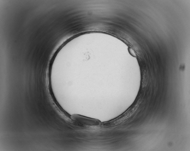 X0000102370796200808291247