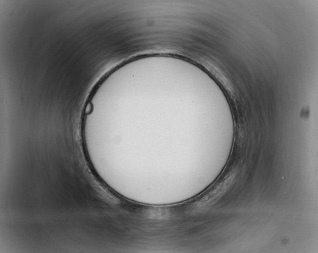 X0000102370797200808291247