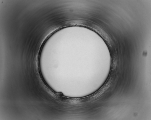 X0000102370798200808291247
