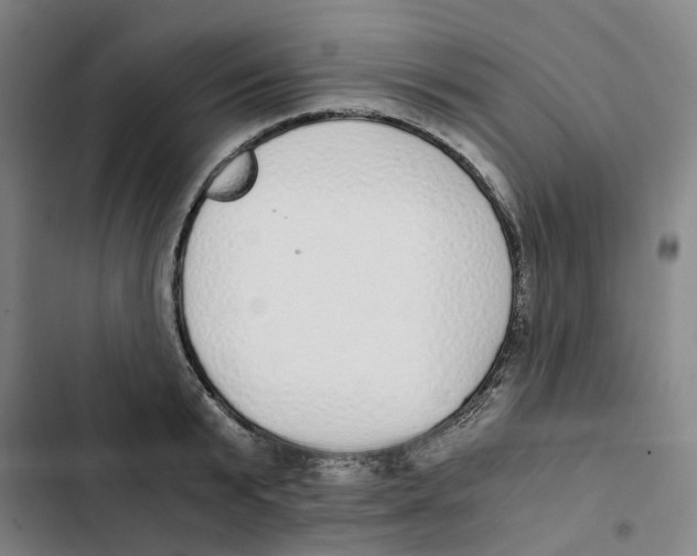 X0000102370799200808291247