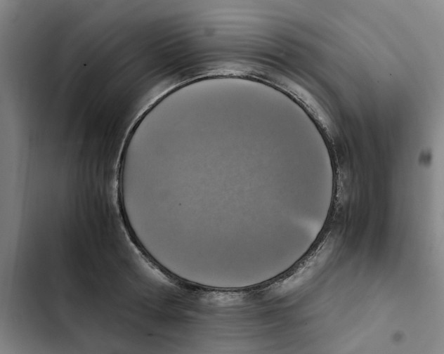 X0000102370802200808291247