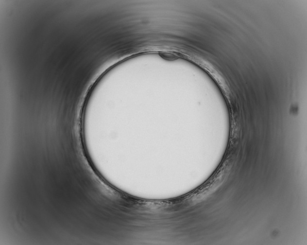 X0000102370803200808291247