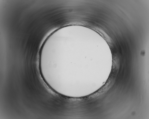 X0000102370804200808291247