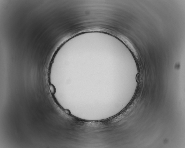 X0000102370805200808291247