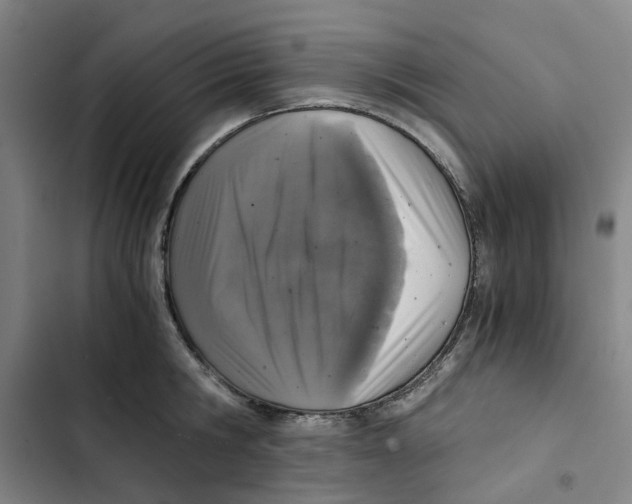 X0000102370806200808291247