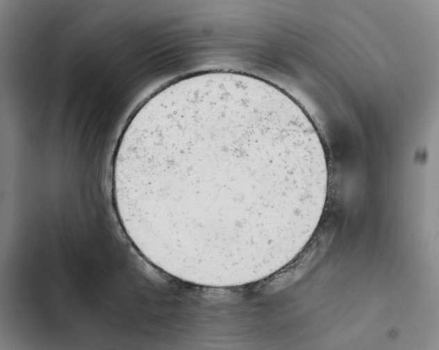 X0000102370807200808291247