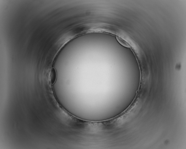 X0000102370809200808291247