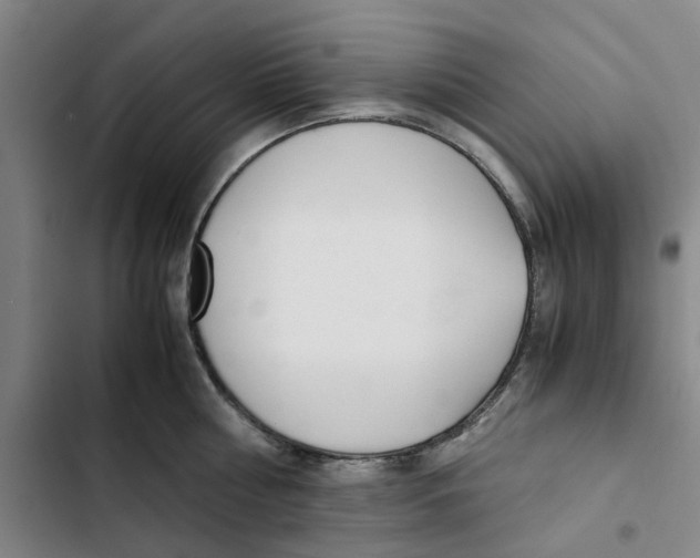X0000102370810200808291247