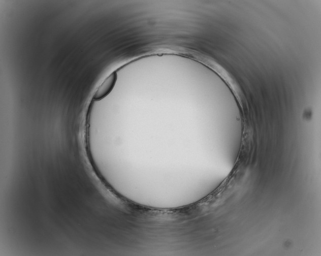 X0000102370811200808291247