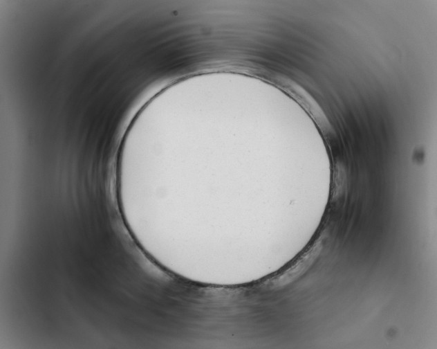 X0000102370812200808291247