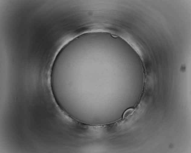 X0000102370813200808291247