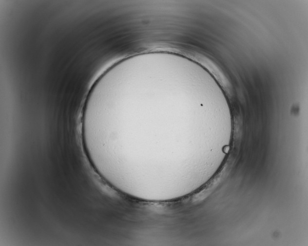 X0000102370814200808291247