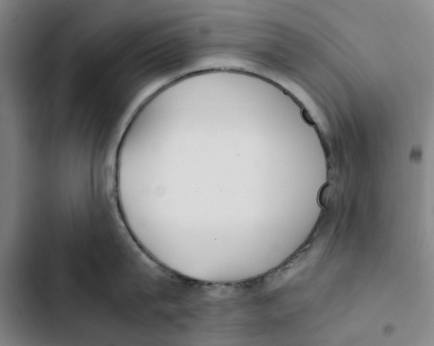 X0000102370815200808291247