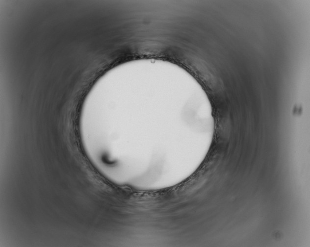 X0000102370817200808291246