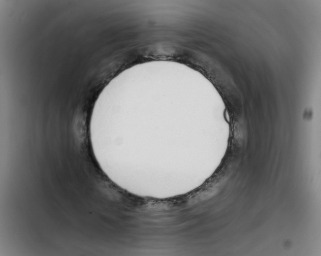 X0000102370818200808291246
