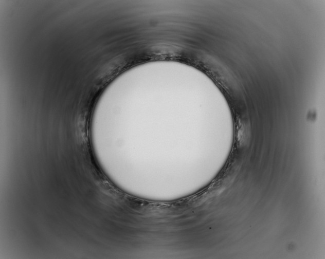X0000102370819200808291246
