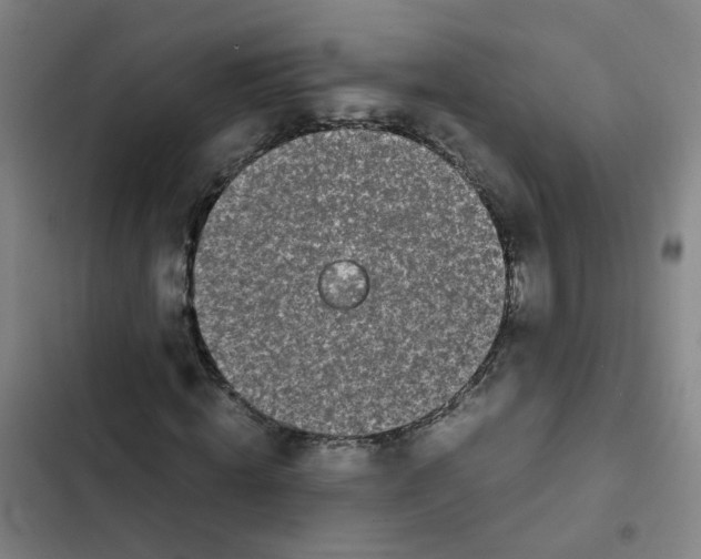 X0000102370820200808291246