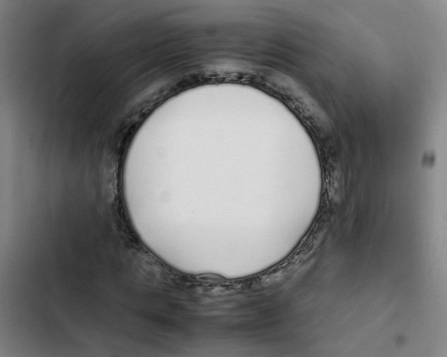 X0000102370821200808291246